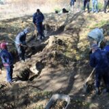 Negotin: Počela prva sistematska arheološka istraživanja na lokalitetu Radujevac - Ćetaće 7