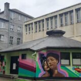 Uticaj rudarenja na prirodu, predavanje i tribina u kragujevačkom SKC-u 11