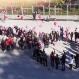 Podrška ženama obolelim i lečenim od karcinoma dojke  8