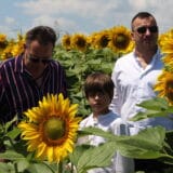 Dani domaćeg filma u više od 40 bioskopa širom Srbije 2