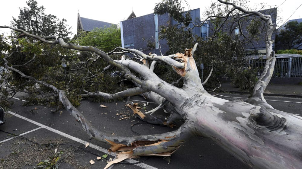 U Australiji zbog jakih vetrova 450.000 domova ostalo bez struje 1