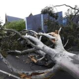 U Australiji zbog jakih vetrova 450.000 domova ostalo bez struje 15