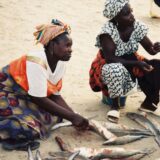 Mi smo došli, a oni su plakali 14