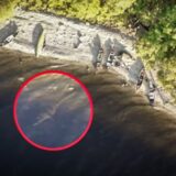 Kruži novi snimak "čudovišta iz Loh Nesa", izgleda da je na snimku igračka 2