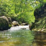 Zaustavljena i poslednja MHE na Velikom Rzavu 14