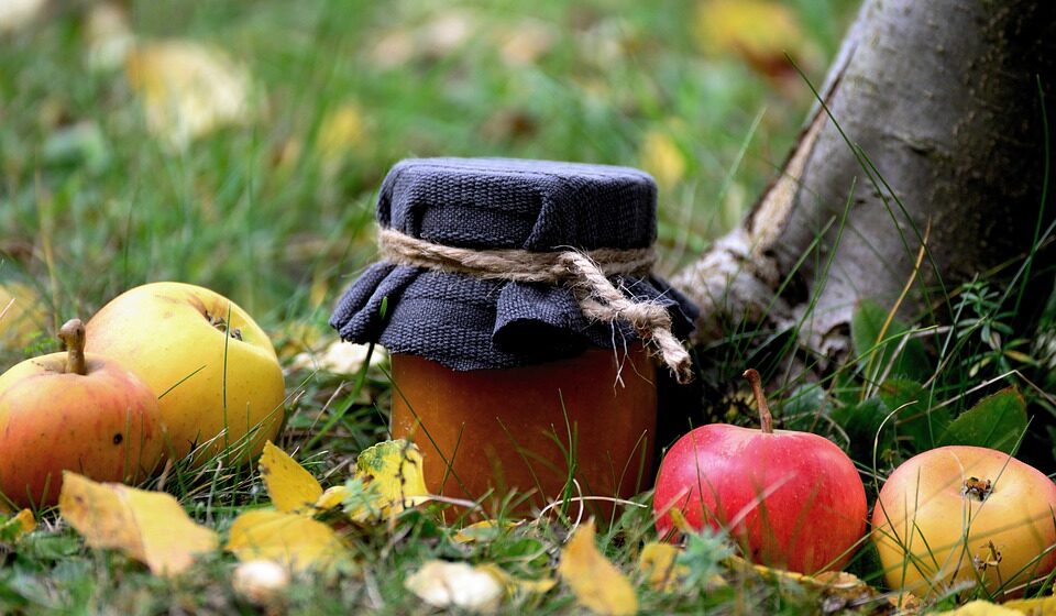 Svetski dan jabuke: Voće bogato vlaknima 1