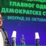 Lutovac: Građani da izađu na proteste, a ne na referendum o izmeni Ustava 10