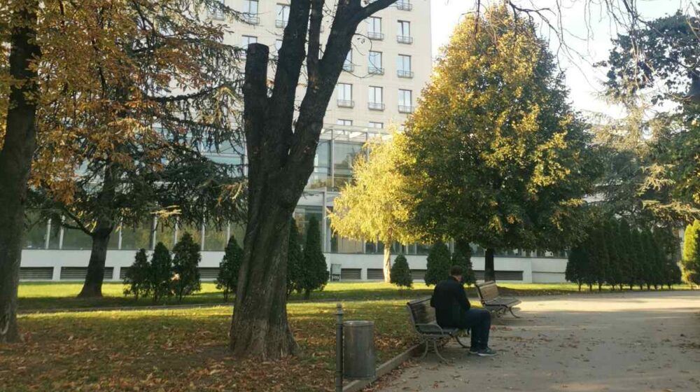 Sadnja 28 stabala u Tašmajdanskom parku 27. i 28. oktobra 1