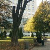Sadnja 28 stabala u Tašmajdanskom parku 27. i 28. oktobra 5