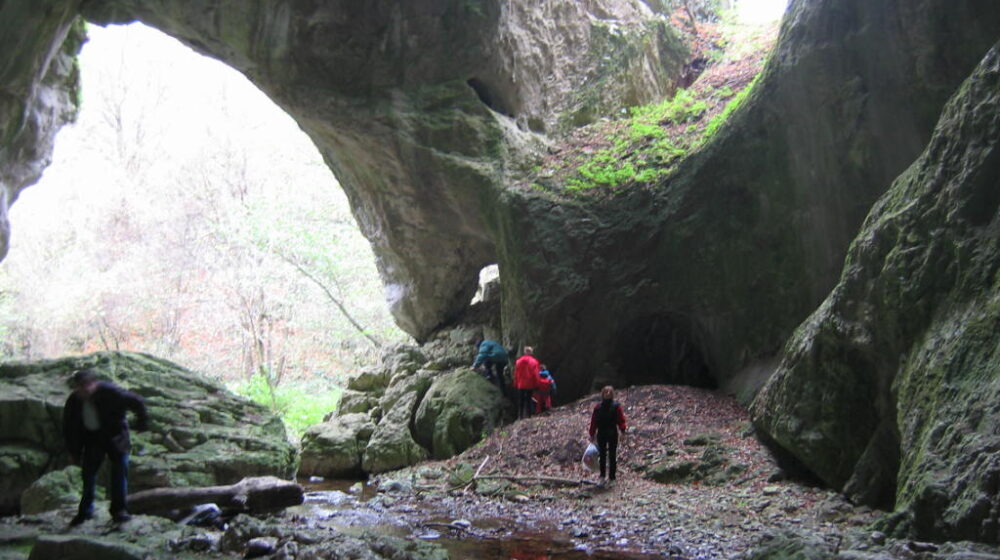 Ekološko udruženje "Badem" promoviše zaštićena područja Negotinske krajine i edukuje mlade o ovom značajnom spomeniku prirode 1