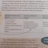 Autori udžbenika da narativno definišu južnoslovenske jezike: Epilog postupka Zaštitnika građana i Poverenice za ravnopravnost 5