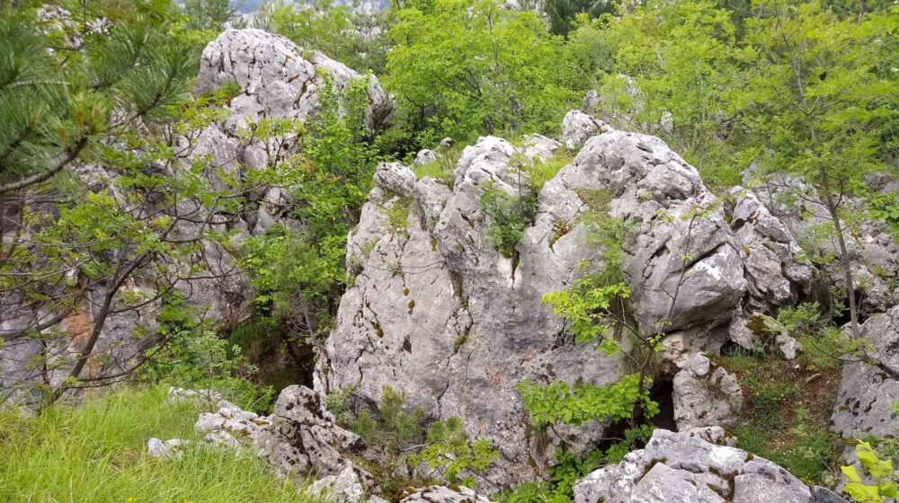 UDIK: Danas se navršava 28 godina od monstruoznih zločina na Kazanima 1