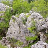 UDIK: Danas se navršava 28 godina od monstruoznih zločina na Kazanima 9