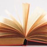 Jezik treba čuvati samo od normativnih lingvista 2