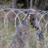 Nemačka pozvala na humano ophođenje prema migrantima na granici EU i Belorusije 13