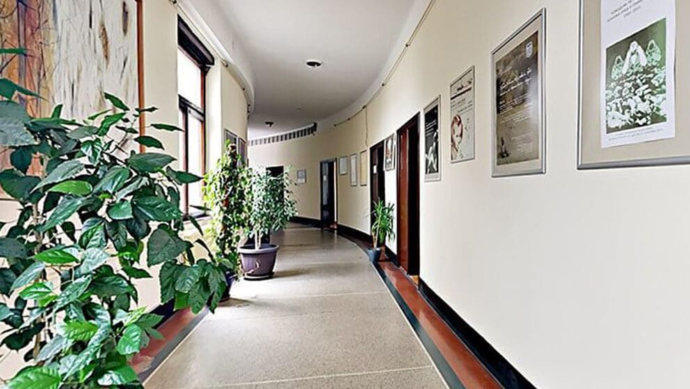 Muzej žrtava genocida akreditovao program "Učenje o genocidu počinjenom nad Srbima": Šta to znači za nastavnike istorije? 1