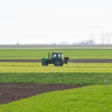 Ministarstvo poljoprivrede: Naredne godine kraći postupak i brža isplata subvencija 13