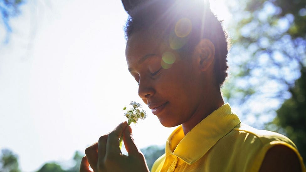 Veštačka inteligencija: Da li bi u budućnosti četkica za zube mogla da namiriše da imate rak 1 Women sniffs a flower on a summer's day