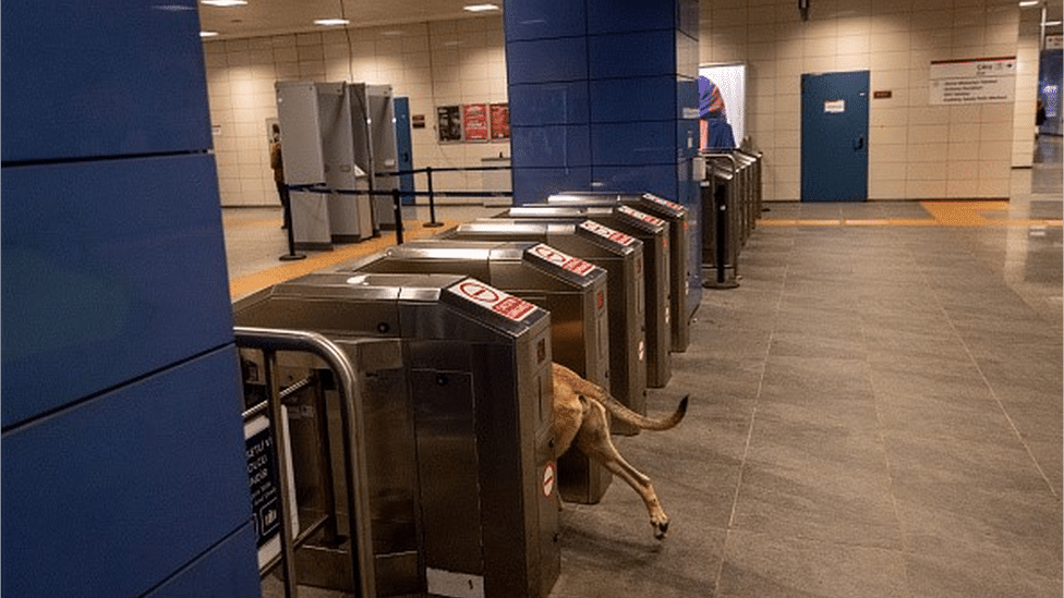 Životinje i Turska: Boži - pas lutalica koji voli da se vozi gradskim prevozom i koji je postao duša Istanbula 5 Boji the street dog enters a subway station in Istanbul