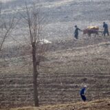 Severna Koreja, Kim Džong Un i hrana: Stiže zima - raste strah od gladi u izolovanoj zemlji 6