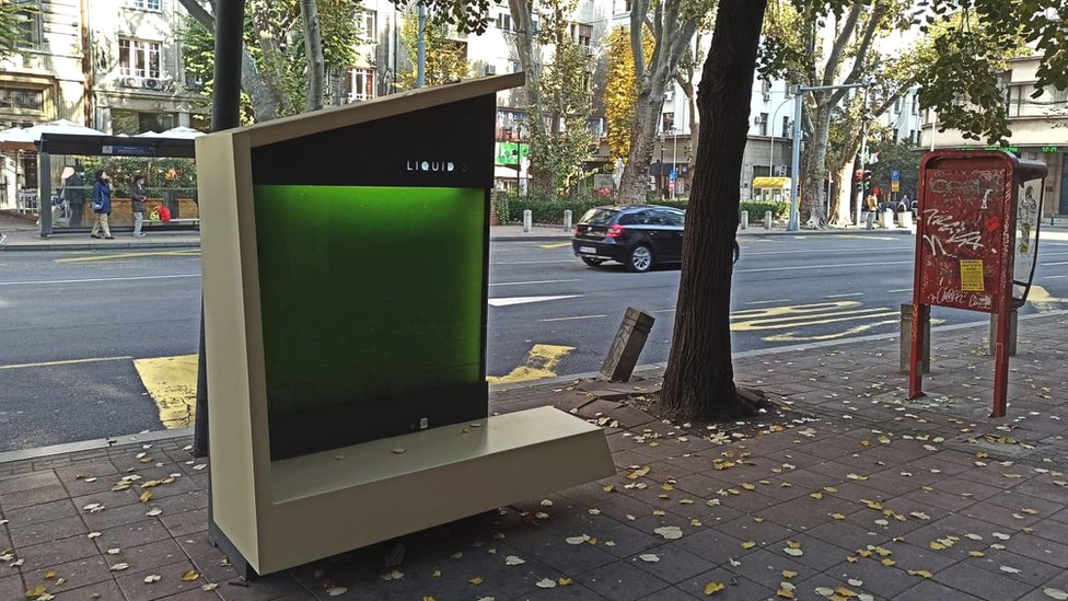 Ekologija, nauka i Srbija: Igra zelenih mehura - Šta je foto-bioreaktor i kako smanjuje zagađenje u Beogradu 1 LIQUID3