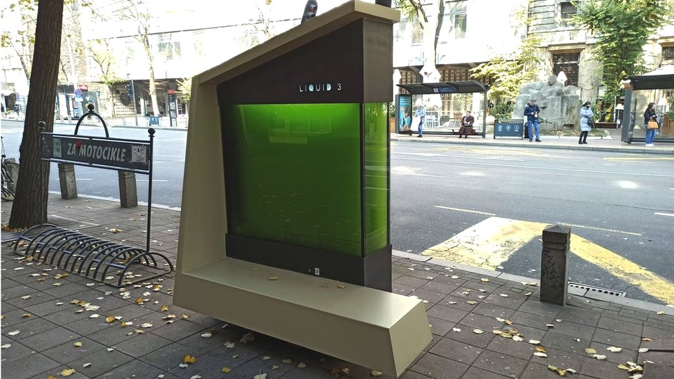 Ekologija, nauka i Srbija: Igra zelenih mehura - Šta je foto-bioreaktor i kako smanjuje zagađenje u Beogradu 3 LIQUID3