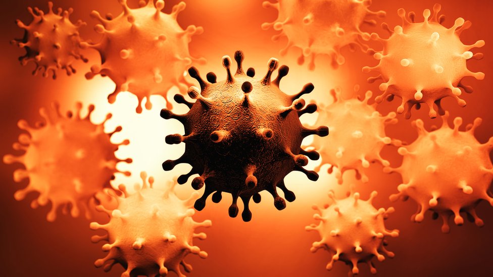 Korona virus: Šta do sada znamo o novom soju omikron - BBC News na srpskom - Dnevni list Danas
