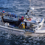 Razgovori Francuske i Britanije „svrsishodni i pozitivni“ 8