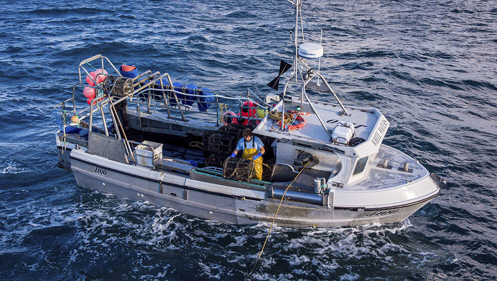 Razgovori Francuske i Britanije „svrsishodni i pozitivni“ 1