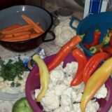 Vranjanci se zbog skupoće odriču zimnice 9