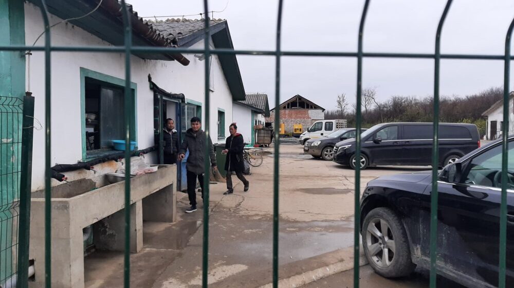 VOICE: Novinarki Ivani Gordić upućene različite vrste pretnji nakon izveštavanja o Linglongu 1