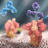 Novo anitelo koje je razvila AstraZeneka pruža dugotrajnu zaštitu kod visokorizičnih pacijenata 8