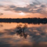 U sred Srbije Evropski Amazon 2