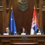 Brnabić: Situacija u oblasti životne sredine je takva da sada samo "gasimo požare" 2