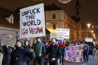 I u Hrvatskoj organizovan Klimatski marš za opstanak (FOTO) 2 I u Hrvatskoj organizovan Klimatski marš za opstanak (FOTO) 2