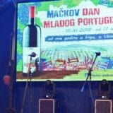 Proslava mladog vina portugizera u Irigu 8