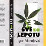 Neformalni roman o lepoti 12