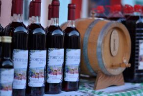 Proslava mladog vina portugizera u Irigu 3