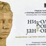 Akademici u delima Nikole Jankovića 3