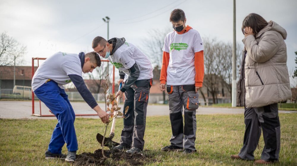 U velikoj akciji  SBB fondacije zasađeno više od 1.300 stabala u Požarevcu i Kragujevcu 1