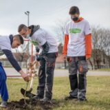 U velikoj akciji  SBB fondacije zasađeno više od 1.300 stabala u Požarevcu i Kragujevcu 9