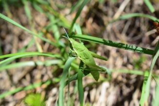 Natura 2000 - zaštita prirode po EU standardima 2