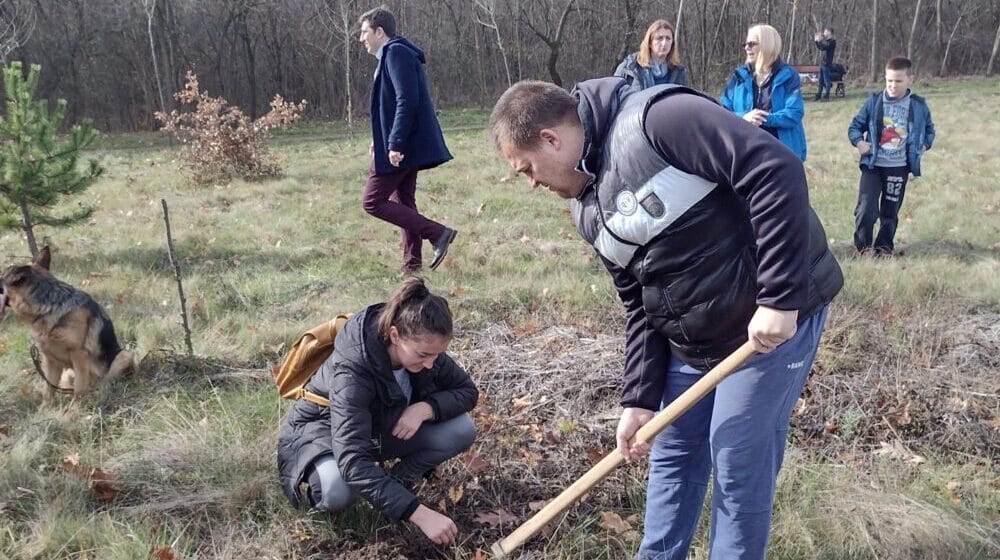 Svi smo pobednici - Velika akcija pošumljavanja SBB Fondacije u Kragujevcu 1