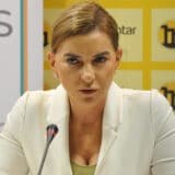Sanja Radojevic Skodric foto medija centar