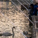 Na Zatiboru boravilo više od 25.000 gostiju dnevno 2