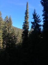 Natura 2000 - zaštita prirode po EU standardima 6