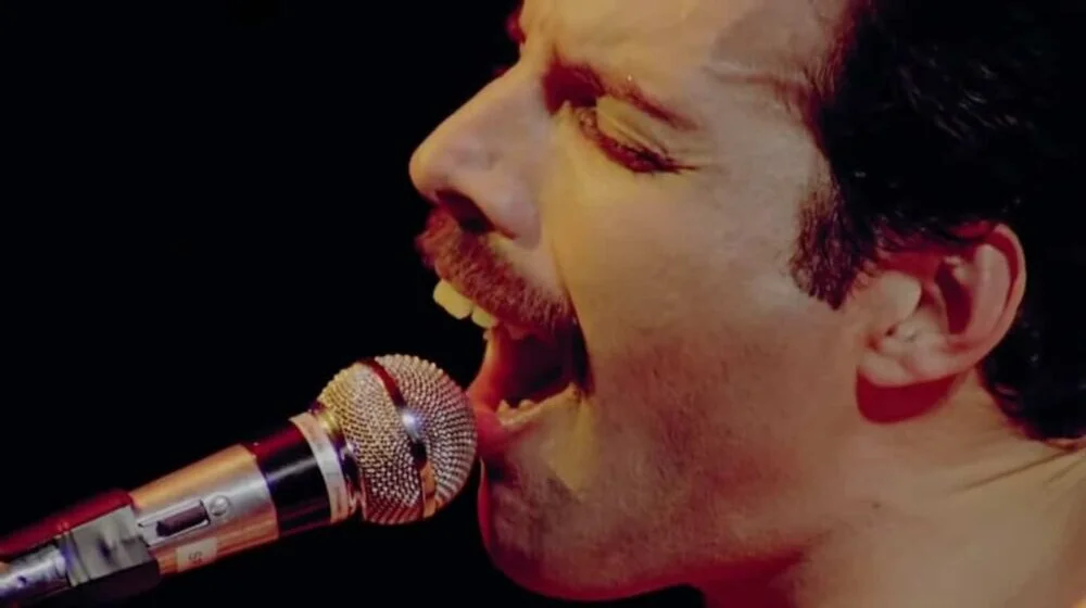 Fredi Merkjuri - Svjetla i sjene pozornice: Strip o životu legendarnog frontmena grupe Queen 1