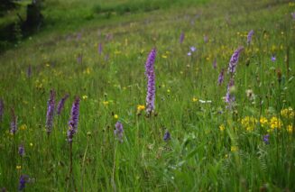 Natura 2000 - zaštita prirode po EU standardima 5