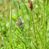Natura 2000 - zaštita prirode po EU standardima 9