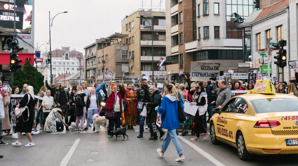 Zaštitnici životinja blokirali saobraćaj u centru Niša zbog neprimenjivanja Zakona o dobrobiti životinja 1